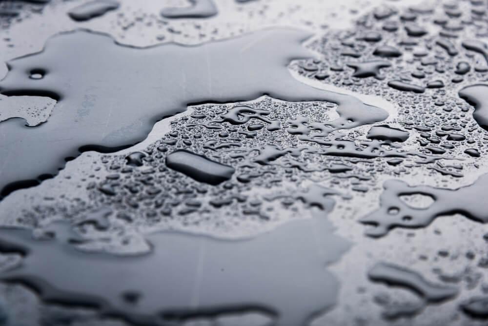 Asheville Moisture Control