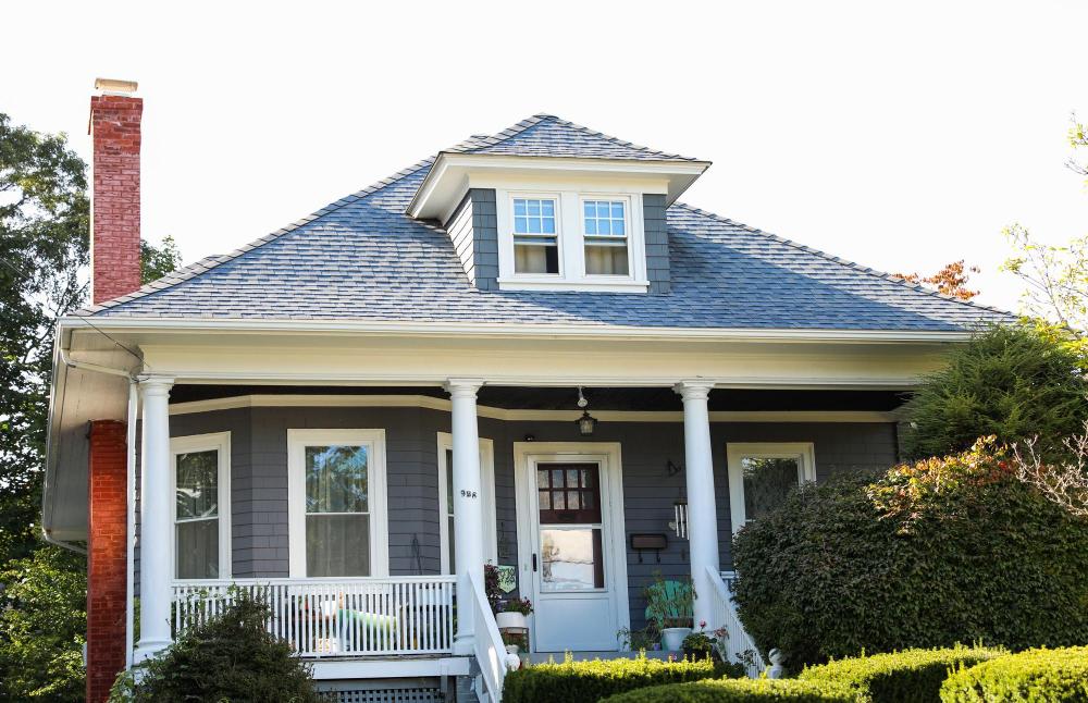 Black Mountain Pest Control