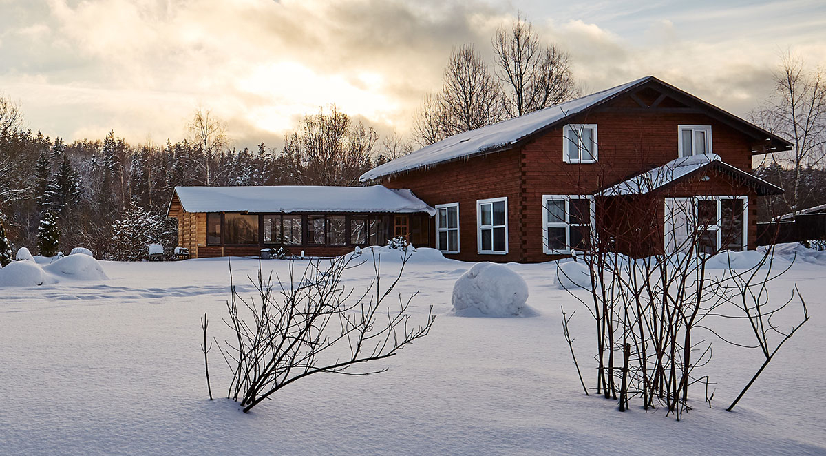 Winter Pest Control: Protect Your Home During Cold Months